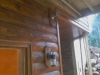 imag0227