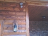 imag0228
